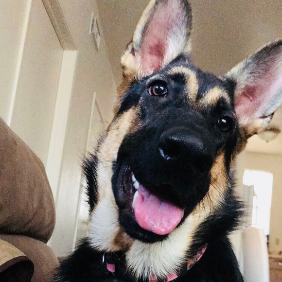 Meet your Posher, Maria - Picture 1 of 1